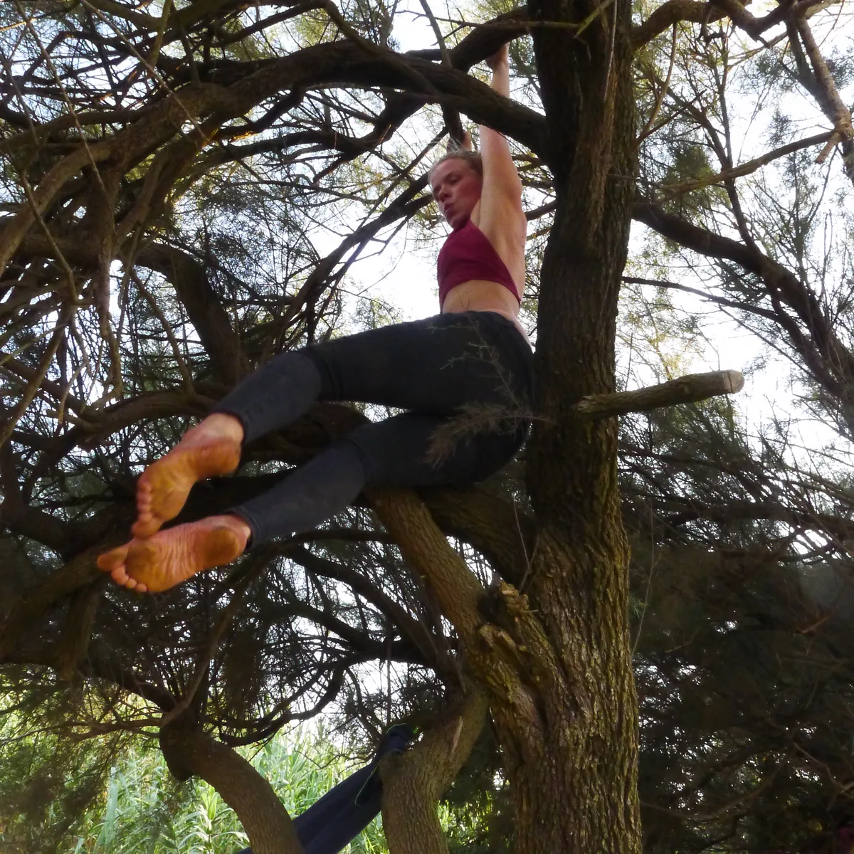 Meine Art des Raum gebens und Raum haltens und meine Wurzeln